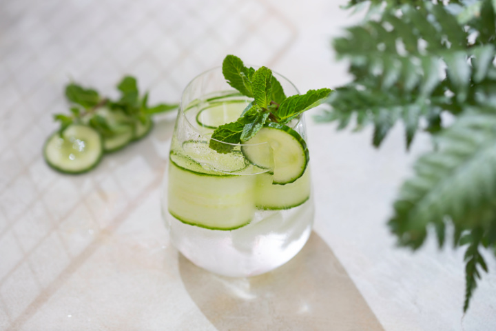 Cucumber Gin Mojito Recipe