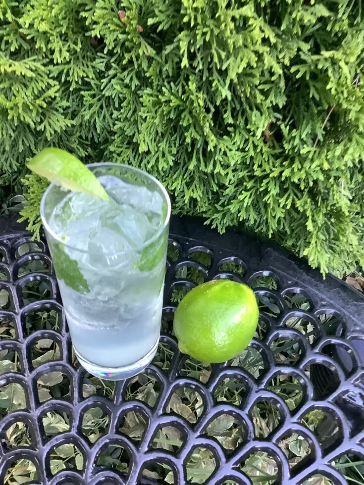 how to make a gin mojito