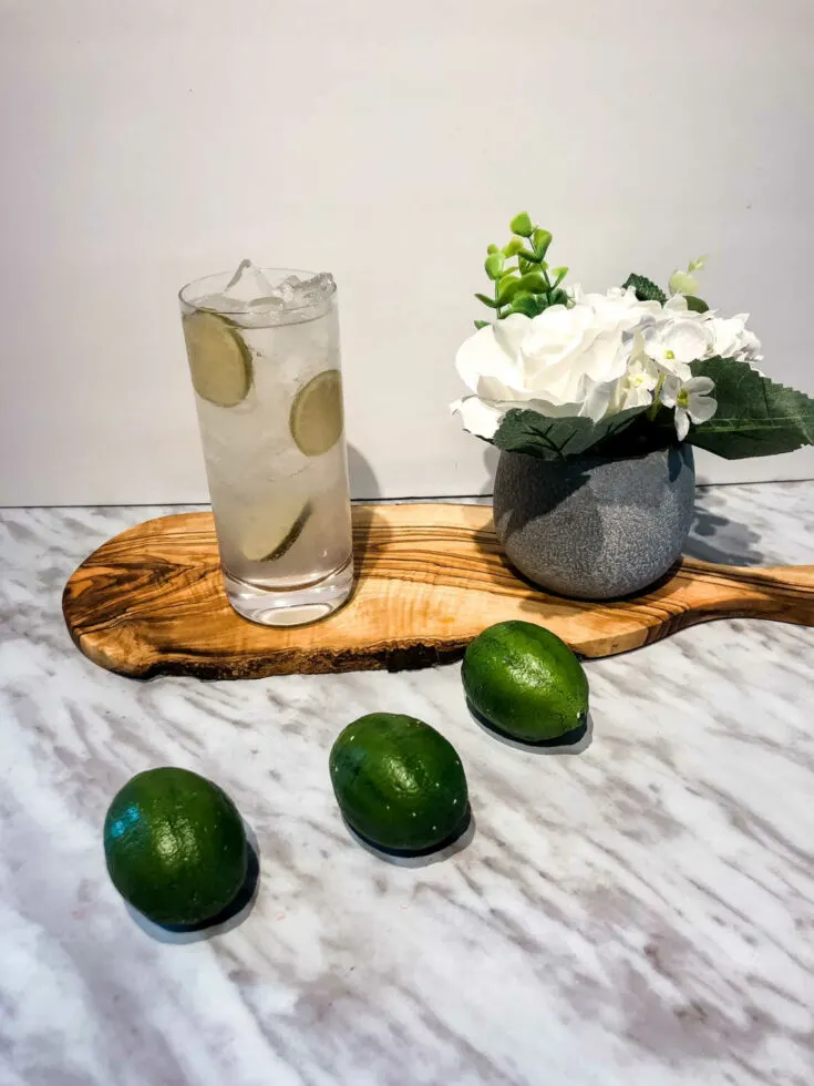 gin rickey recipe