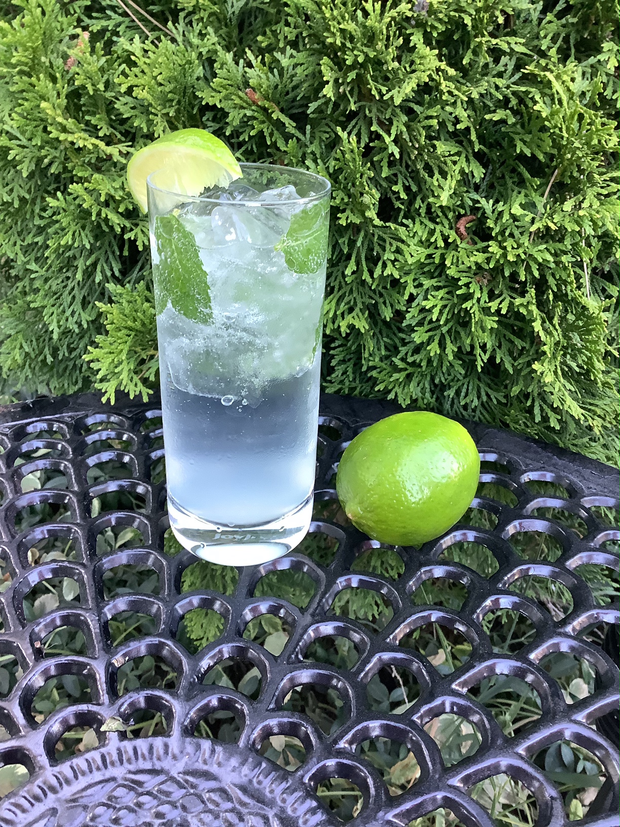 gin mojito recipe