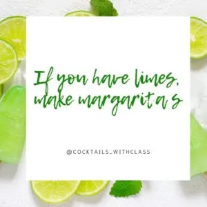 instagram cocktail quotes