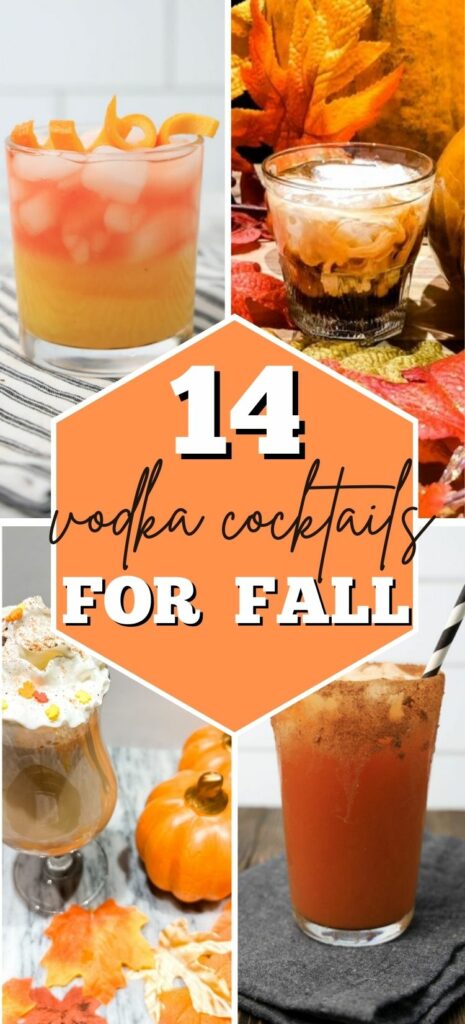 fall vodka cocktails