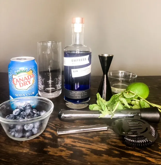 how to make a gin mojito with blueberries