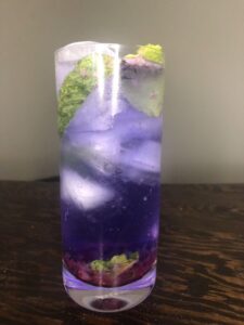 blueberry gin mojito