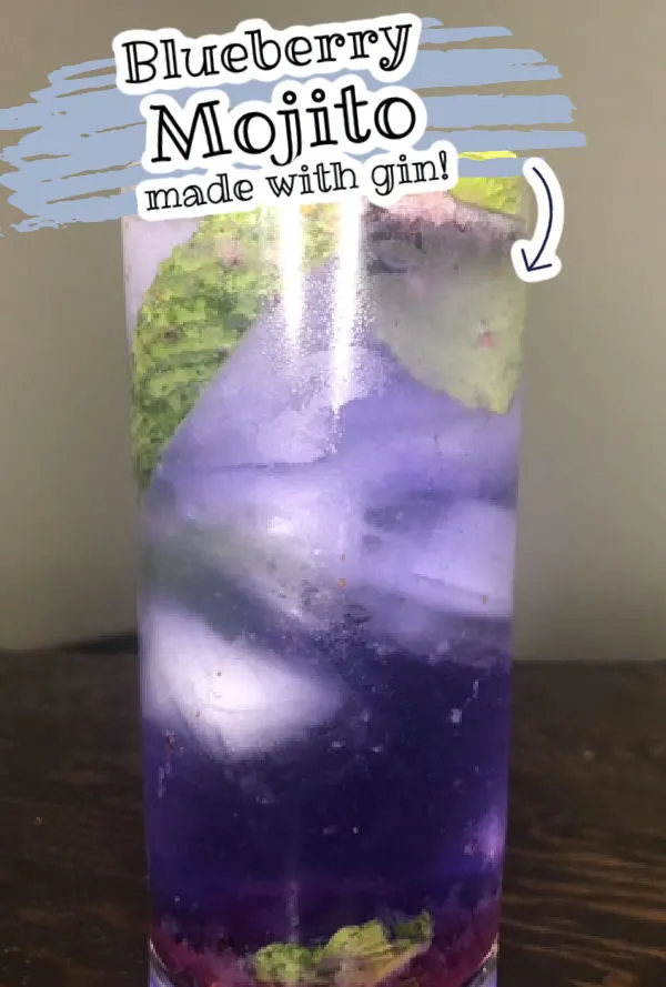 Blueberry gin mojito