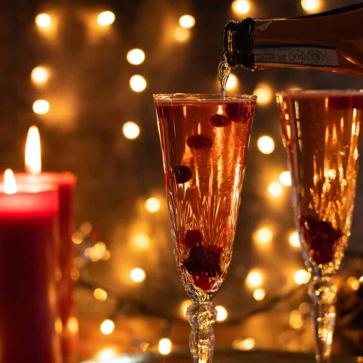 gin prosecco cranberry spritz
