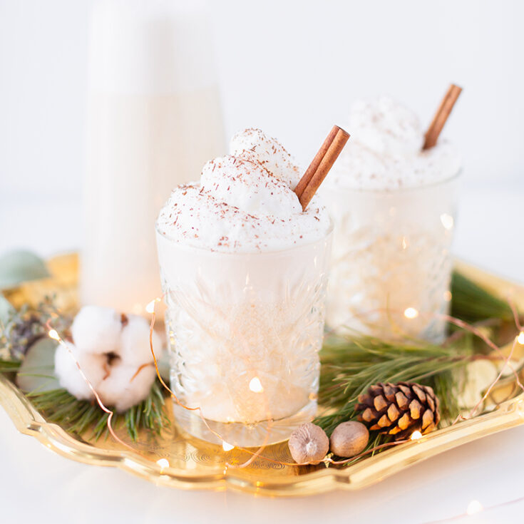 dairy free eggnog