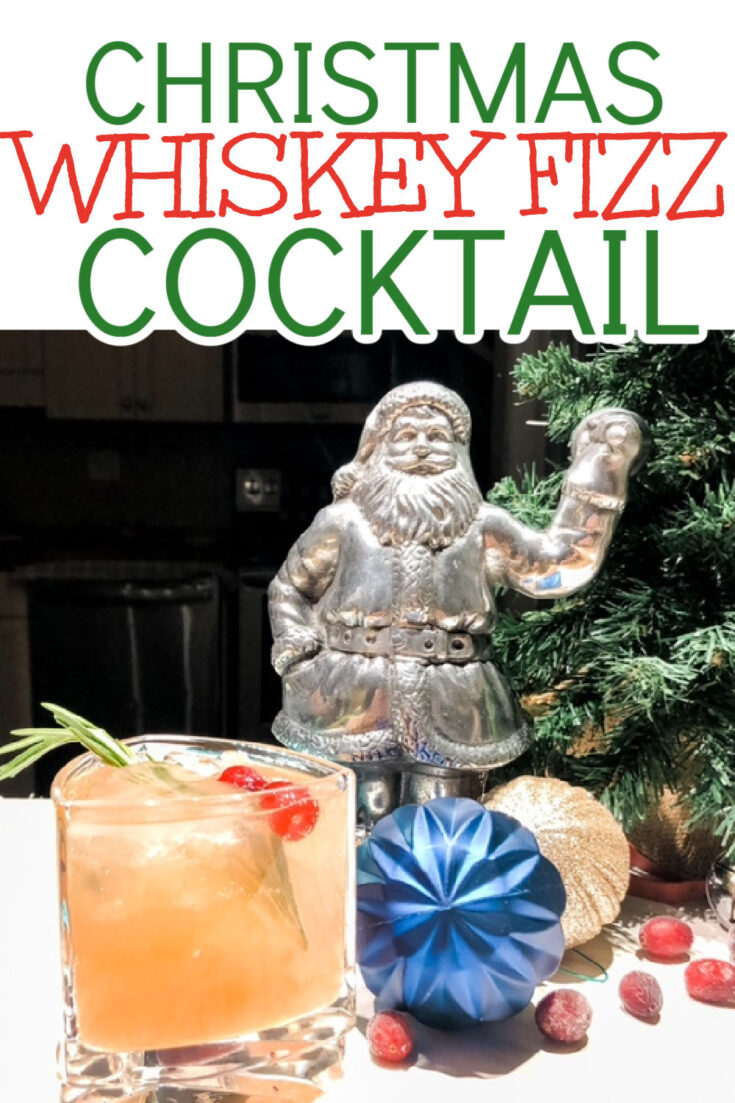 WHISKEY FIZZ COCKTAIL
