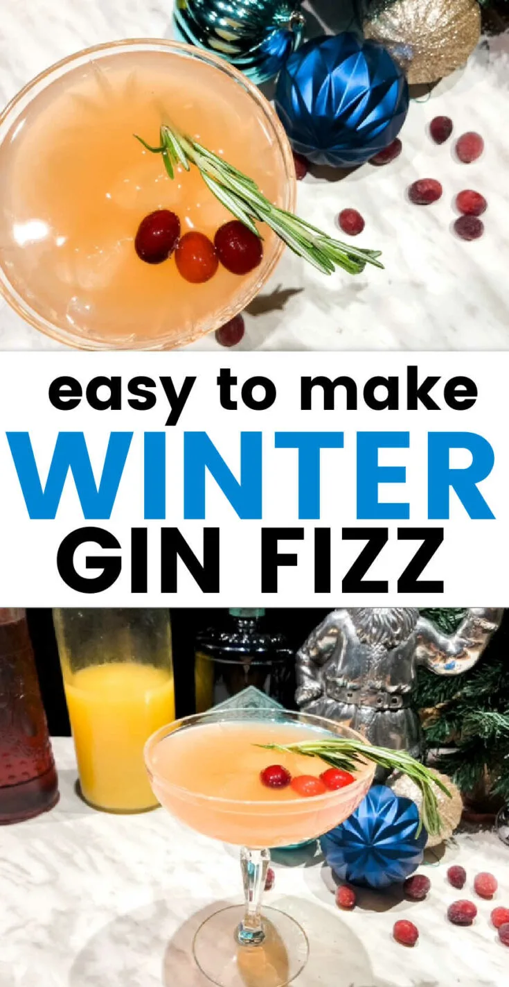 winter gin fizz
