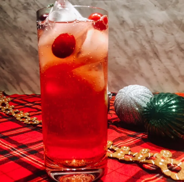 Cranberry Ginger Cocktail