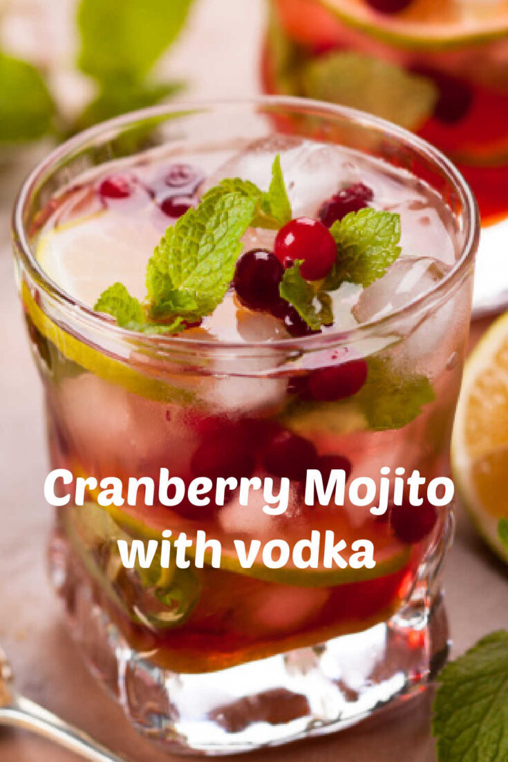 cranberry vodka mojito