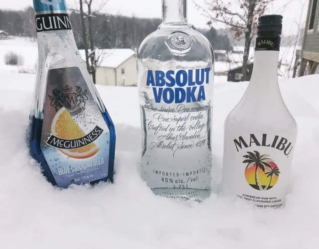 ingredients to make a Frozen inspired cocktail