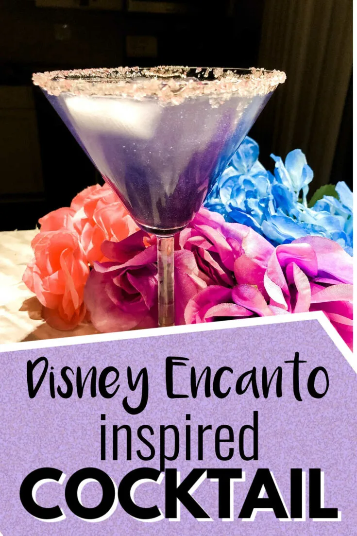 Disney Encanto Inspired Cocktail