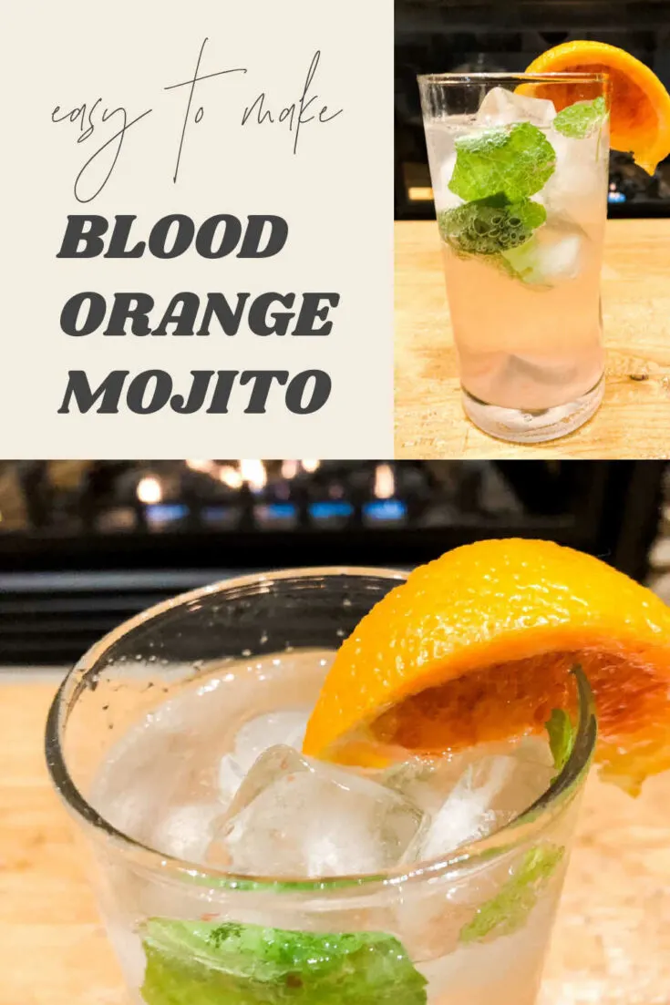 Blood Orange Mojito recipe