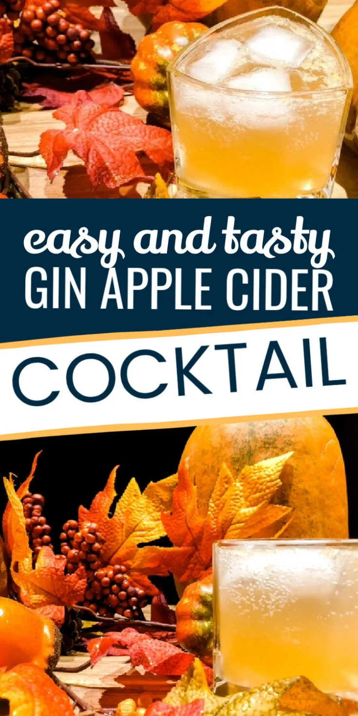 gin apple cider cocktail
