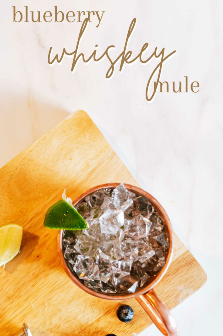 the ultimate blueberry moscow mule