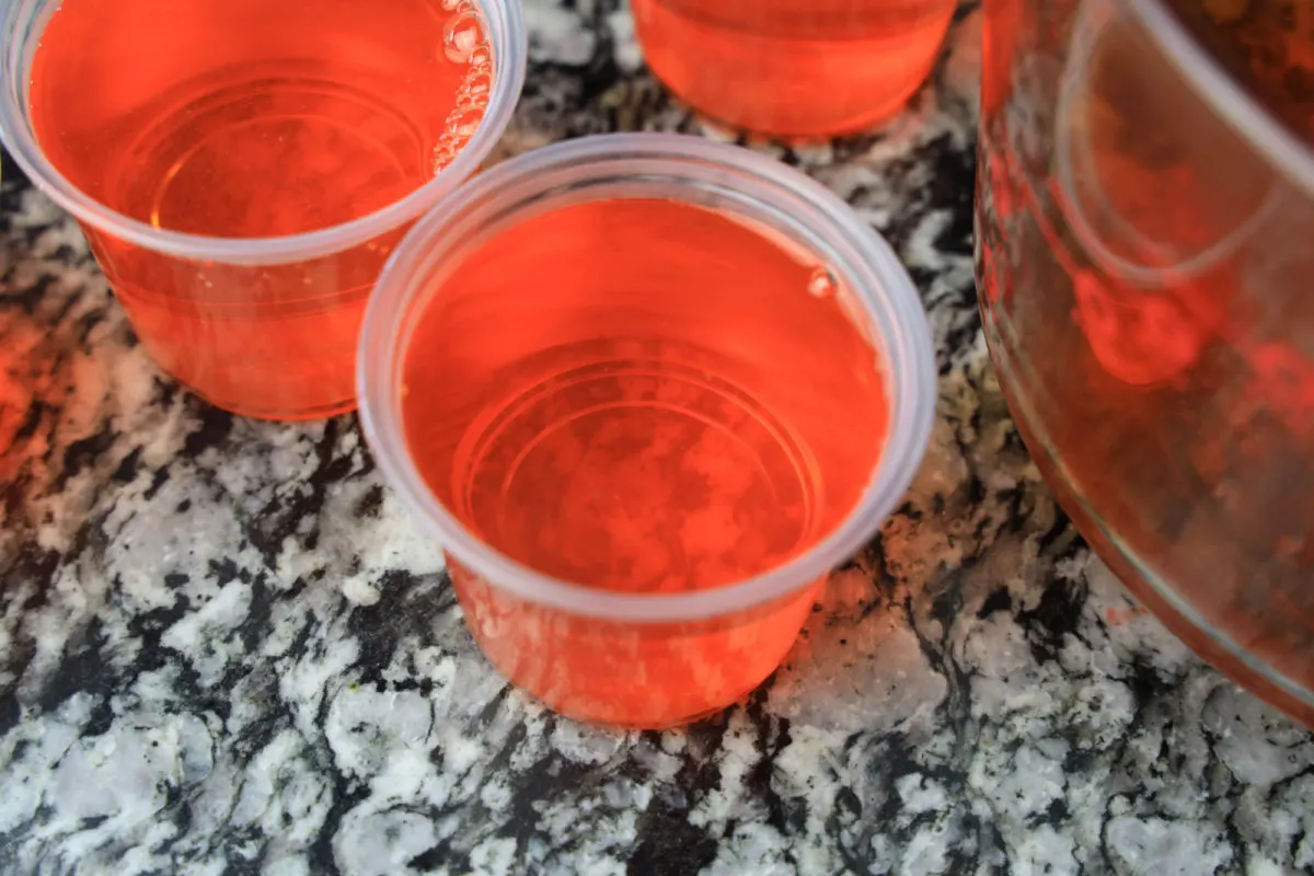 Halloween 1978 jello shots