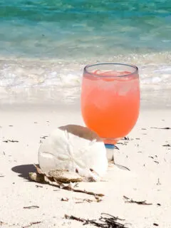 how to make a sex on the beach cocktail