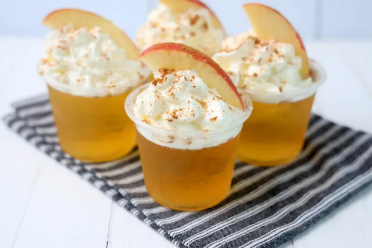 apple cider jello shot