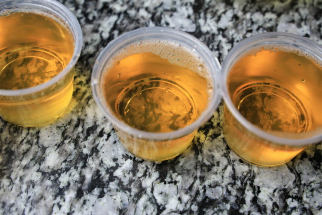 Apple Cider Jello Shots