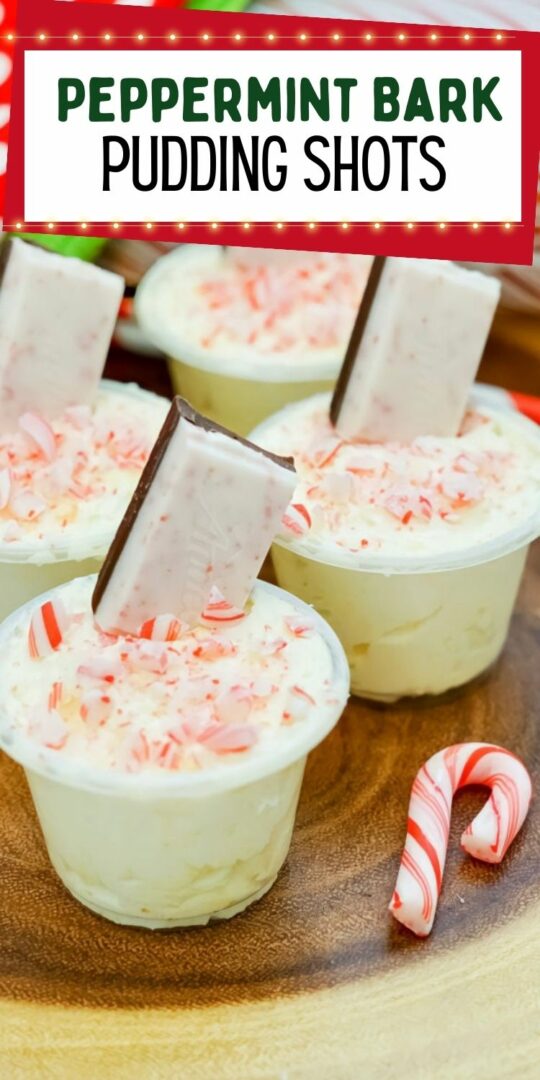 Peppermint Bark Pudding Shots (Candy Cane Pudding Shots)