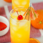 Tequila Sunrise recipe