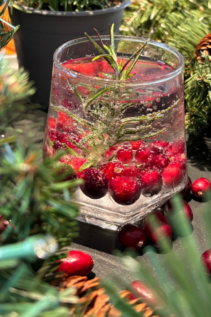 Merry berry rum fizz