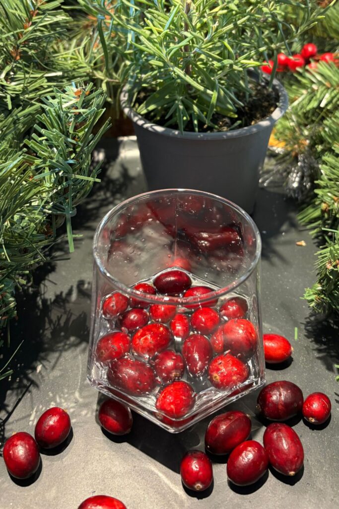 Merry berry rum fizz